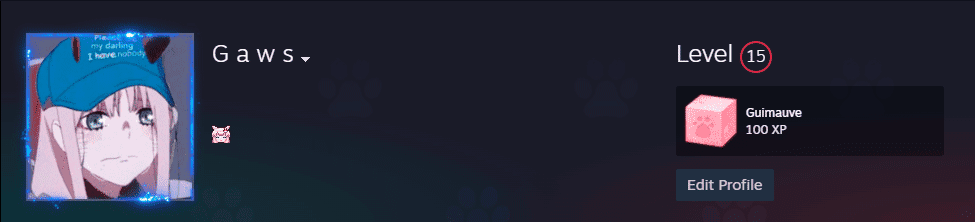 如何在 2024 年以便宜且轻松的方式将 Steam 从零升级到 SteamLevelU?